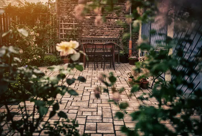 Ein grünes Büro in der Agentur Lindenfeld
