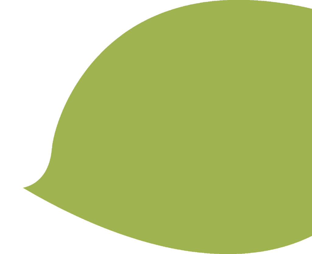 grüne Sprechblase